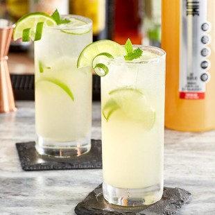 SHOTT Tahitian Lime Real Fruit Concentrated Flavoring Syrup 1 Liter SHOTT Tahitian Lime Real Fruit Concentrated Flavoring Syrup 1 Liter