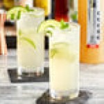 SHOTT Tahitian Lime Real Fruit Concentrated Flavoring Syrup 1 Liter SHOTT Tahitian Lime Real Fruit Concentrated Flavoring Syrup 1 Liter