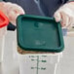 Choice 2 and 4 Qt. Green Square Polypropylene Food Storage Container Lid