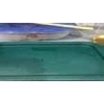 Choice 2 and 4 Qt. Green Square Polypropylene Food Storage Container Lid
