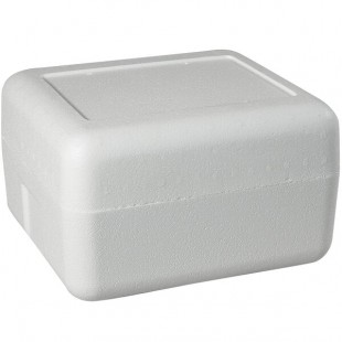 Insulated Foam Cooler 12 1/4