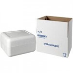 Insulated Foam Cooler 12 1/4
