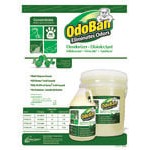 OdoBan 911062-G4 1 Gallon / 128 oz. Concentrated Eucalyptus Disinfectant / Air Freshener - 4/Case