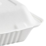 EcoChoice 8