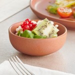 Acopa Pangea 4 oz. Terra Cotta Matte Porcelain Ramekin / Fruit Dish - 36/Case