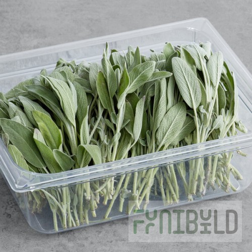 Sage 2.2 lb.