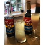 Torani Blueberry Flavoring / Fruit Syrup 750 mL Glass Bottle