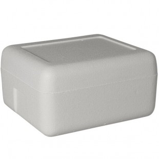 Insulated Foam Cooler 12 1/4