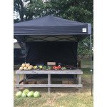 E-Z Up PR3WH10RB Pyramid Instant Shelter 10' x 10' Royal Blue Canopy with White Frame