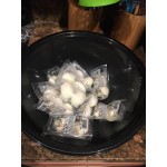 Fineline Super Bowl 5064-GRN 64 oz. Green Plastic Bowl - 25/Case Fineline Super Bowl 5064-GRN 64 oz. Green Plastic Bowl - 25/Case