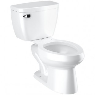 Sloan 8009.8013 Standard Elongated Floor-Mounted Toilet with Pressure-Assisted Tank - 1.6 GPF