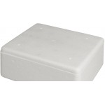 Insulated Foam Cooler 11