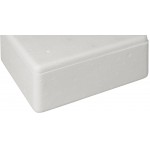 Insulated Foam Cooler 11