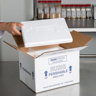 Polar Tech Thermo Chill Insulated Shipping Box with Foam Container 8