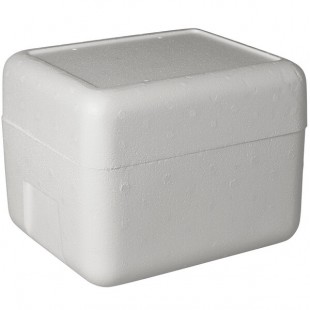 Insulated Foam Cooler 11 3/8