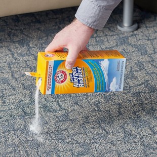 Arm & Hammer® 42.6 oz. Carpet & Room Allergen Reducer and Odor Eliminator Arm & Hammer® 42.6 oz. Carpet & Room Allergen Reducer and Odor Eliminator
