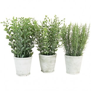 Kalalou 3-Piece Artificial Herb Set in Cement Pots