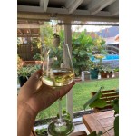 Stolzle Quatrophil from Global Tableware Collective 20 oz. All-Purpose Wine Glass - 6/Pack Stolzle Quatrophil from Global Tableware Collective 20 oz. All-Purpose Wine Glass - 6/Pack