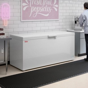 Galaxy CF20HC Commercial Chest Freezer - 19.4 cu. ft.