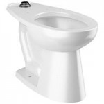 Sloan 2112029 ADA Height Elongated Floor-Mounted Toilet with Bedpan Lugs - 1.1 to 1.6 GPF Sloan 2112029 ADA Height Elongated Floor-Mounted Toilet with Bedpan Lugs - 1.1 to 1.6 GPF