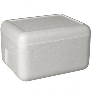 Insulated Foam Cooler 11 3/8