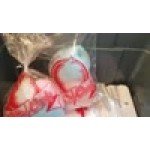 Carnival King 202502504 11 1/2 Carnival King 202502504 11 1/2