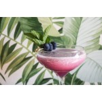 Acopa 4 oz. Coupe Cocktail Glass - Sample Acopa 4 oz. Coupe Cocktail Glass - Sample