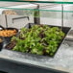 G.E.T. Enterprises BSD16BB Bugambilia 13.5 Qt. Classic Textured Finish Black Resin-Coated Aluminum XL Deep Square Bowl G.E.T. Enterprises BSD16BB Bugambilia 13.5 Qt. Classic Textured Finish Black Resin-Coated Aluminum XL Deep Square Bowl