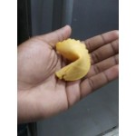 Kari-Out Company Fortune Cookies - 350/Case