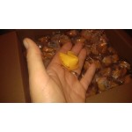 Kari-Out Company Fortune Cookies - 350/Case