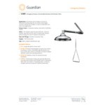 Guardian Equipment G1691 Stainless Steel Horizontally Mounted Emergency Shower Guardian Equipment G1691 Stainless Steel Horizontally Mounted Emergency Shower