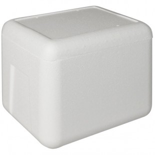 Insulated Foam Cooler 11 1/8