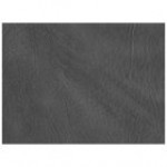 H. Risch, Inc. PLACEMATDX-HARRED Harley 16 H. Risch, Inc. PLACEMATDX-HARRED Harley 16
