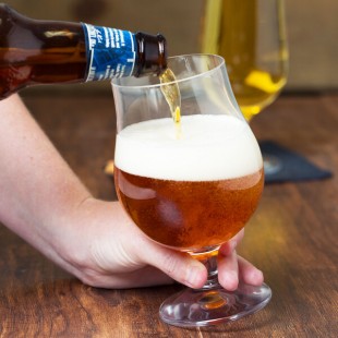 Stolzle from Global Tableware Collective 16.5 oz. Belgian Beer / Tulip Glass - 6/Pack Stolzle from Global Tableware Collective 16.5 oz. Belgian Beer / Tulip Glass - 6/Pack