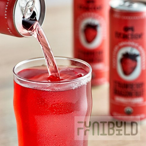 Tractor Beverage Co. Organic Strawberry Dragon Fruit Beverage 12 fl. oz. Can - 12/Case