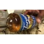 Torani Sugar-Free English Toffee Flavoring Syrup 750 mL Glass Bottle Torani Sugar-Free English Toffee Flavoring Syrup 750 mL Glass Bottle