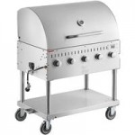 Backyard Pro CHAR-60 60