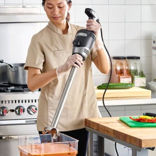 Waring WSB265 Big Stik 18