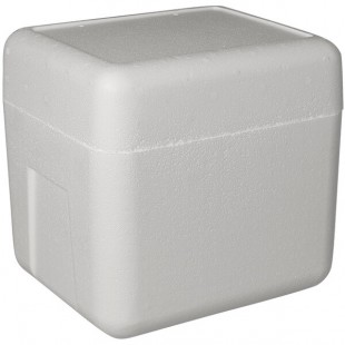 Insulated Foam Cooler 11 1/8