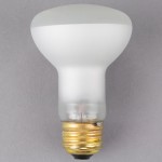 Satco S4886 50 Watt Frosted Shatterproof Finish Incandescent Rough Service Flood Light Bulb - 120V (R20) Satco S4886 50 Watt Frosted Shatterproof Finish Incandescent Rough Service Flood Light Bulb - 120V (R20)