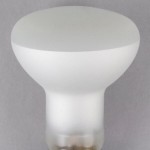 Satco S4886 50 Watt Frosted Shatterproof Finish Incandescent Rough Service Flood Light Bulb - 120V (R20) Satco S4886 50 Watt Frosted Shatterproof Finish Incandescent Rough Service Flood Light Bulb - 120V (R20)