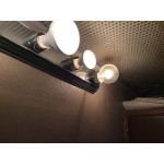 Satco S4886 50 Watt Frosted Shatterproof Finish Incandescent Rough Service Flood Light Bulb - 120V (R20) Satco S4886 50 Watt Frosted Shatterproof Finish Incandescent Rough Service Flood Light Bulb - 120V (R20)