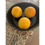 10 Strawberry Street WM-6-WHT Wazee Matte 48 oz. Round White Stoneware Serving Bowl - 2/Case