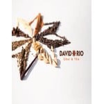 David Rio Tiger Spice Chai® Tea Latte Mix 4 lb. - 4/Case