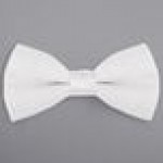 Henry Segal White 2 Henry Segal White 2