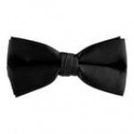 Henry Segal White 2 Henry Segal White 2