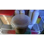Cambro 12, 18, and 22 Qt. Translucent Round Polypropylene Food Storage Container Lid RFSC12PP190 - 6/Case