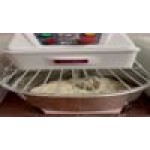 Estella SM20 20 Qt. / 28 lb. Two-Speed Spiral Dough Mixer - 120V, 2 HP