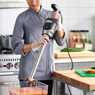 Waring WSB260 Big Stik 16