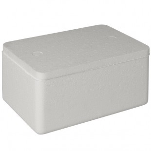 Insulated Foam Cooler 10 5/8